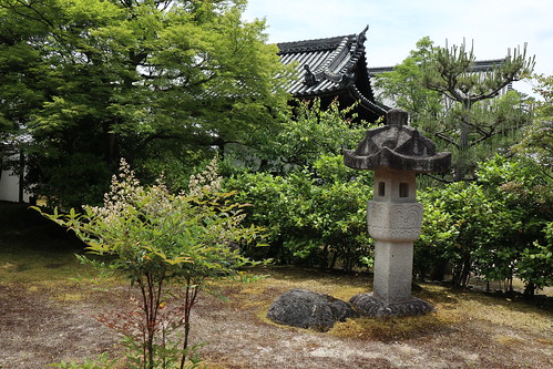 相国寺の庭