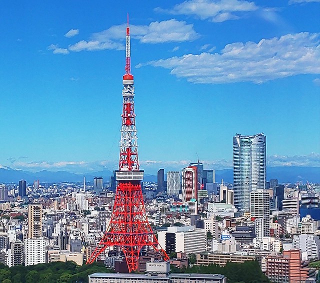 ここからの東京タワーは最高ですな