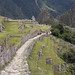 Ritorno a Machu Picchu da Intipunku