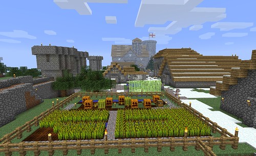The Village in Minecraft