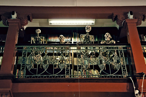 Skeletal onlookers (closeup)