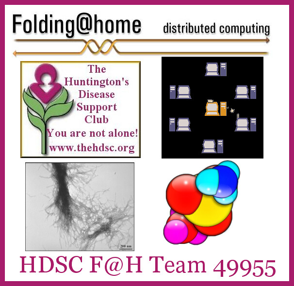 HDSC Folding at Home Team 49955 Logo