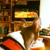 Watching the game with Melo...