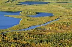 Flussdelta, Rappadalen, Sarek Nationalpark, Nordschweden • <a style="font-size:0.8em;" href="http://www.flickr.com/photos/73418017@N07/6730123921/" target="_blank">View on Flickr</a>