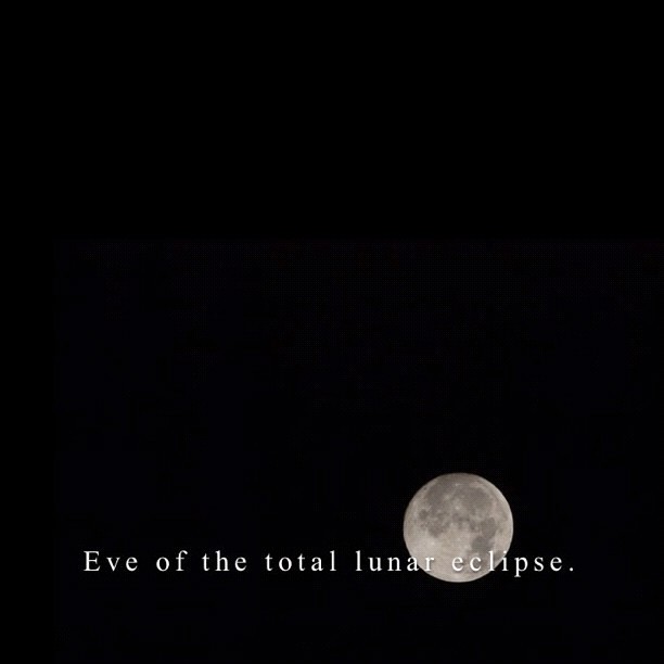 皆既月食前夜祭 Eve of the total LUNAR ECLIPSE.  #moon #lunar #astronomy #night