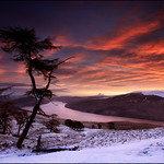 Loch Tay Dawn