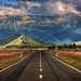The Long Road to New Zealand