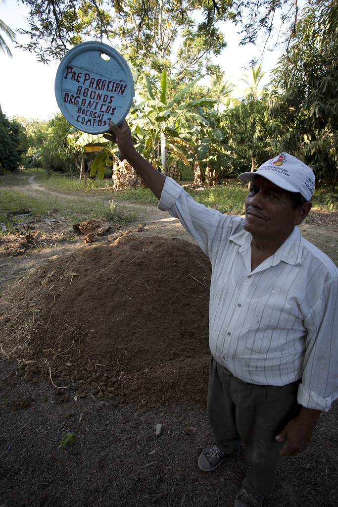 Parcelle mangues, plantation de Manuel J. Urbina BENITES