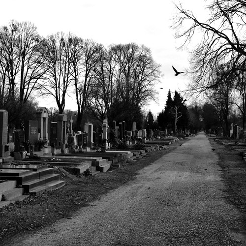 Cimitero ©  specchio.nero