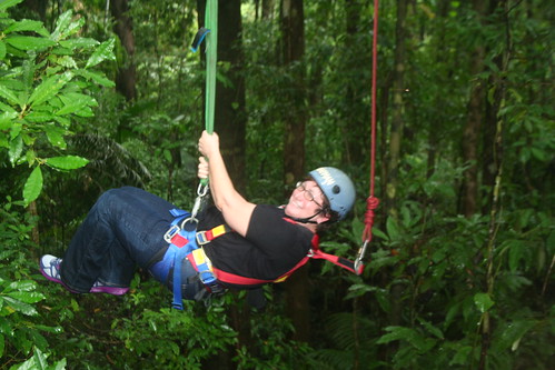 Daintree Forest Jungle Surfing