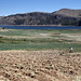 Grandi campi coltivati sul Lago Titicaca