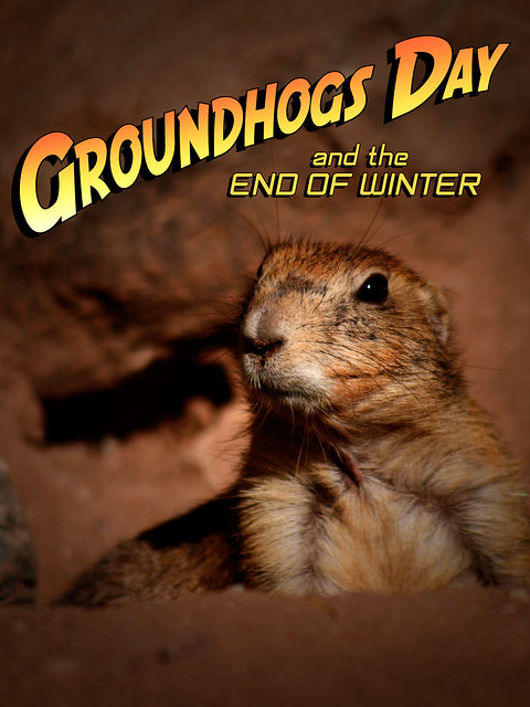 2-2-12 Groundhogs Day