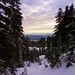 Snowshoe Grind, Grouse Mountain