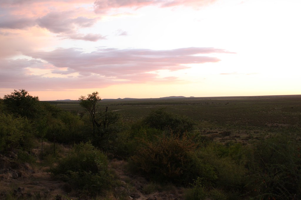фото: Western Etosha Landscape