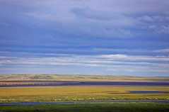 Tundra, Taimyr Halbinsel, Sibirien, Rußland • <a style="font-size:0.8em;" href="http://www.flickr.com/photos/73418017@N07/6753433135/" target="_blank">View on Flickr</a>