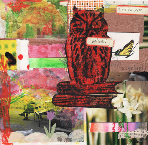 Collage: Rather wise orange owl