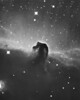 Horsehead Nebula (B33) HA+LUM
