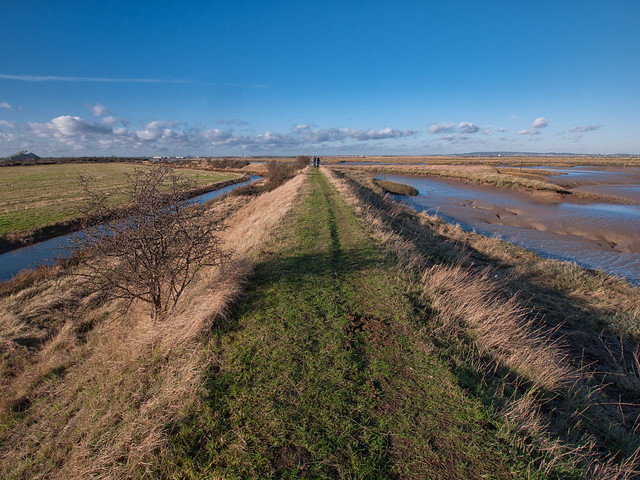 Cliffe Marshes, Kent