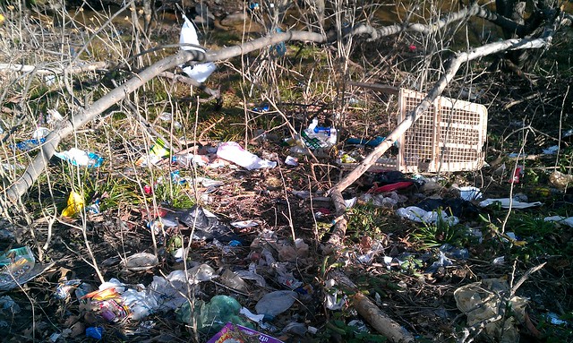 Trash and debris on the Banks of Bread and Cheese Creek at Merritt Blvd.  Help us clean it up 4/14/12