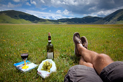 'Wine Break', Italy, Apennine Mountains, Umbri...