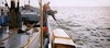 Noordzee - lading ms Birgit - 17 september 2001