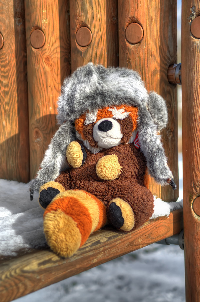 Red raccoon wearing a fur hat