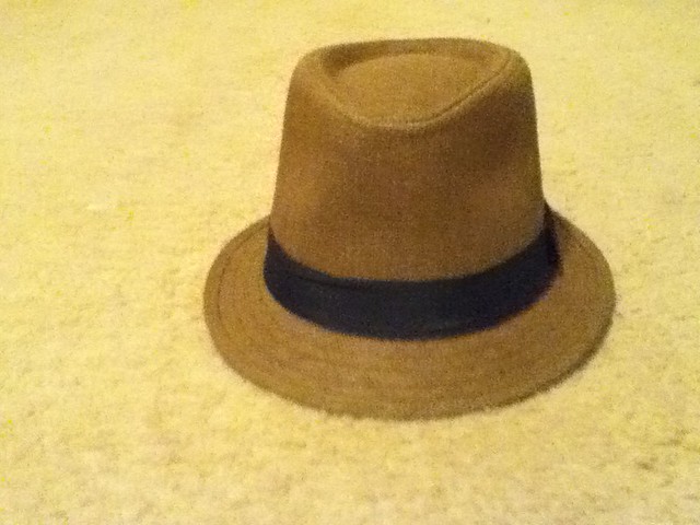 Homemade Disneys Inspector Gadget Hat