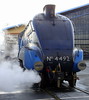 4492 Dominion of New Zealand Stands in Steam outside then NRM.