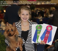 2011 AKC National Eukanuba Best Bred By Australian Terrier and 1st Award of Excellence!