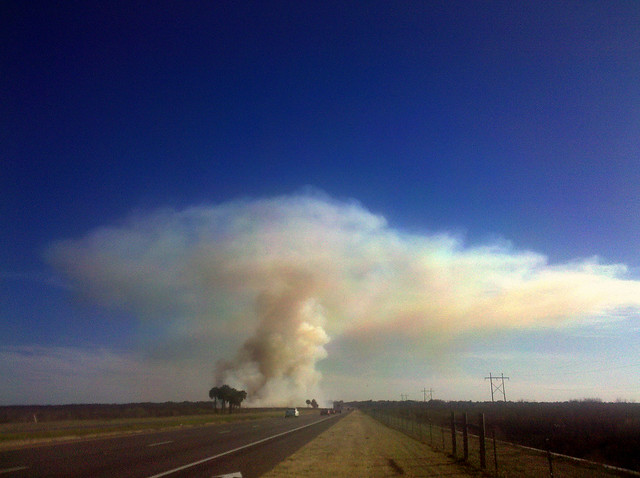 US 441 Paynes Prairie Fire