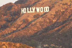 6787544713 69177843dd m Find Out About Hollywoods Top Bulk Ups 