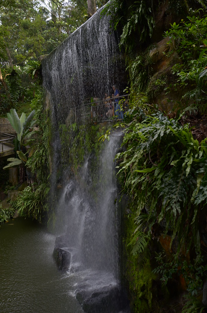: Artificial waterfall in the bird bark