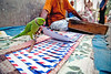 Happy New Year 2012 :  Bring Us Luck, Parrot