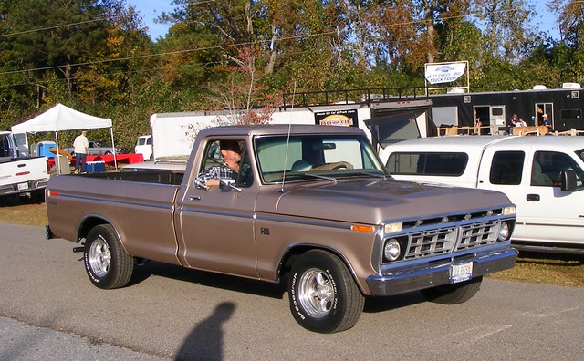 ford truck pickup f100 f150 1976