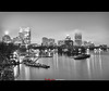 Boston Black & White