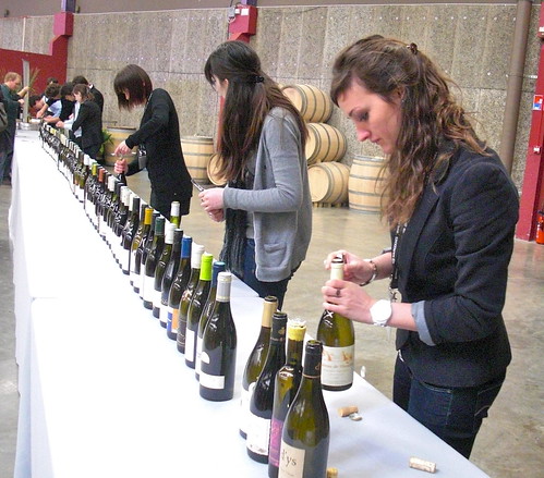 lineup of wine