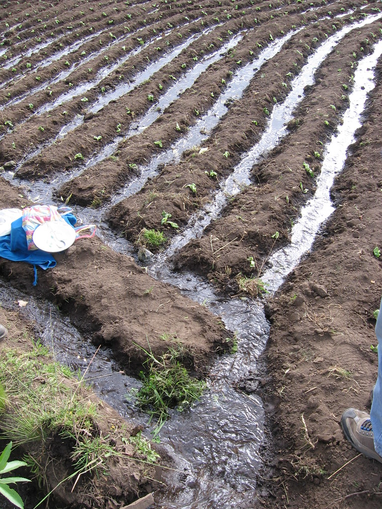 Système d'irrigation Gestion eau Chimborazo