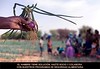 Acción contra el Hambre, Francois Lenoir, Kaedi - MAURITANIA