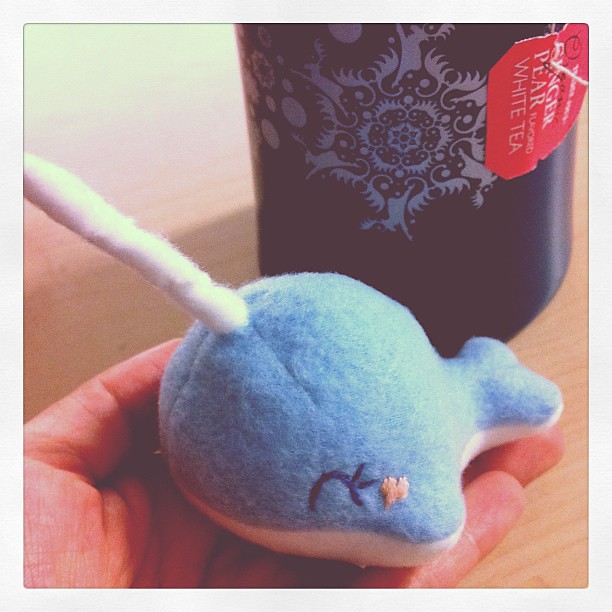 Flight delayed. Killing time with hot tea and baby NARWHAL... hmmm, he needs a name...