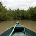 Passo tra le mangrovie