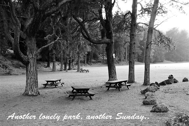 Another Park Another Sunday ~ the DOOBIE BROTHERS