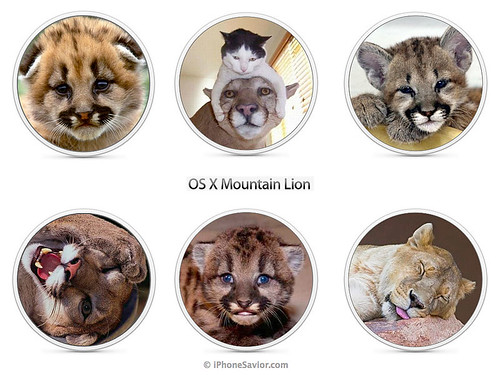 Leaked OS X Mountain Lion Images Apple Rejected
