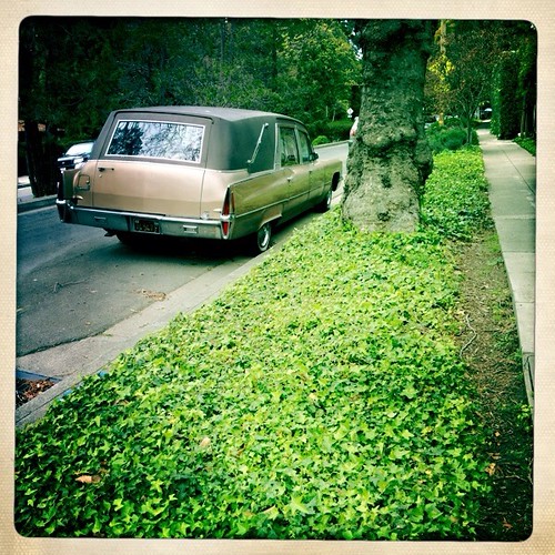 1970s Cadillac hearse spotted near cemetery on Berkeley Hills ride by 