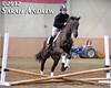 Retired Racehorse Training Projects Trainer Challenge Finale in Harrisburg, PA
