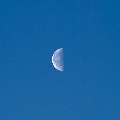 Snow Moon: A Perfect Half Moon - Waning Crescent