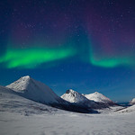 The Dance of the Northern Lights
