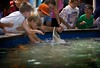 ray touch tank