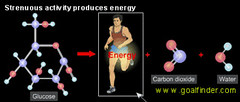 Goalfinder exercise-produces-energy