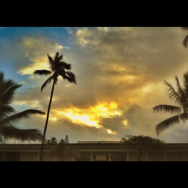 Good morning. Looks like the storm finally passed and we might see the sun today. Im pretty happy that means surf session in a few days. This was pic was shot at Brigham Young University -Hawaii.