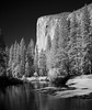 El Capitan, Yosemite National Park, CA